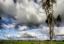 探索论坛世界的乐趣！天涯论坛经济论坛论坛，真的是好多话题都聊不完啊，大家在线上分享生活、讨论经济，感觉像一个大家庭，亲亲热热的。