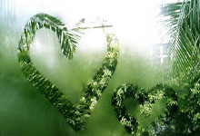 揭秘'彩票是假的'——天涯杂谈论坛的真实经历