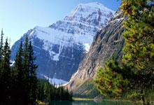 揭秘'彩票是假的'——天涯杂谈论坛的真实经历